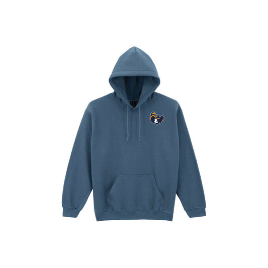 Raiders Hat Logo Adult Hoodie - GD057 - HDT