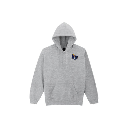 Raiders Hat Logo Adult Hoodie - GD057 - HDT